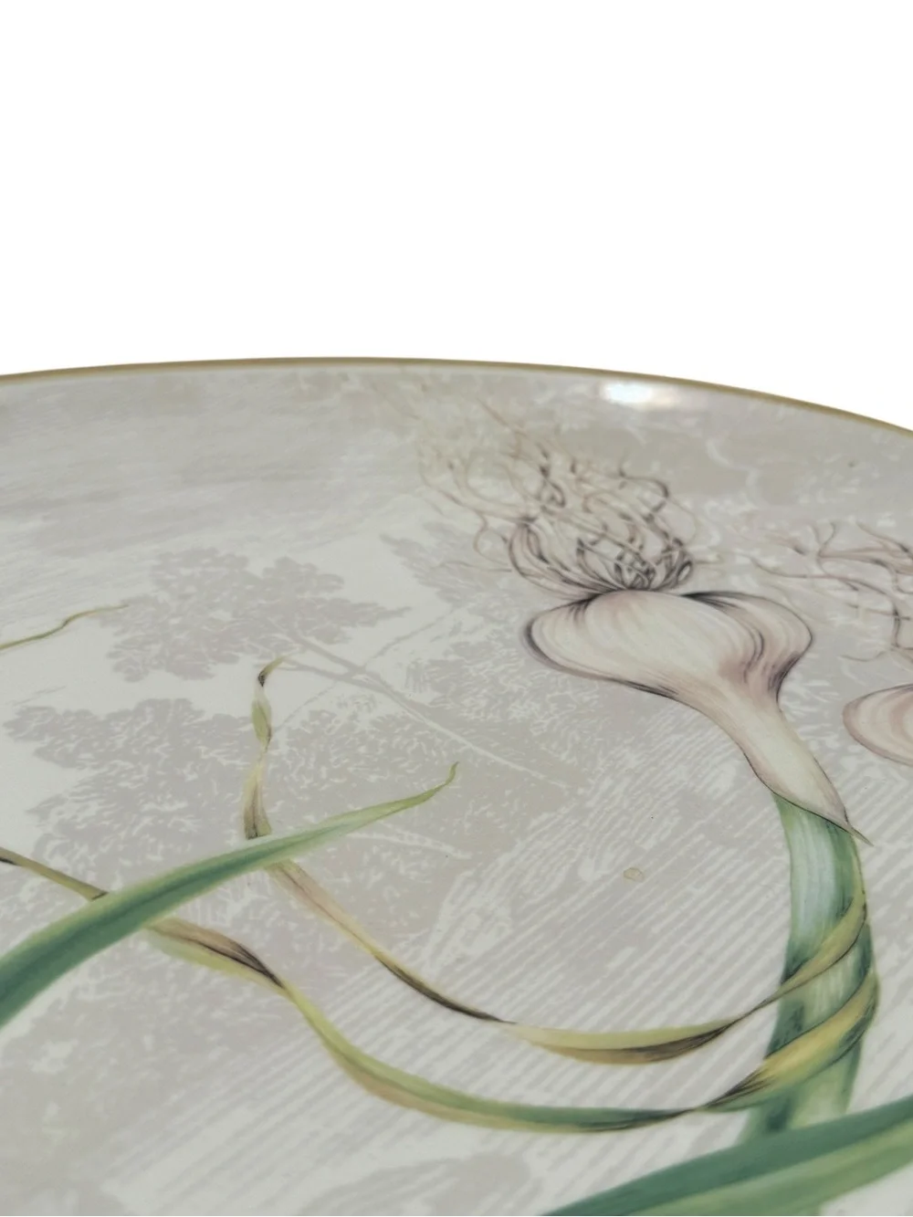 Williams Sonoma Garlic Serving Platter Portugal Oval Ceramic Farmhouse Kitchen